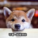 盈盈QA站_牙科_01_醫生A